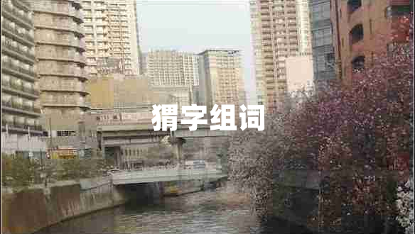 猬字组词