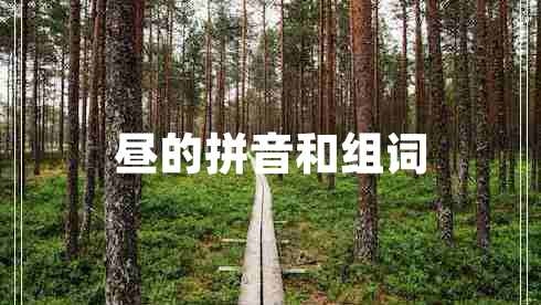 昼的拼音和组词