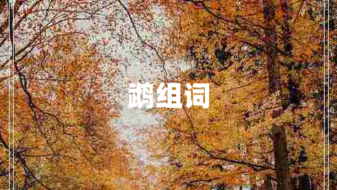 鹉组词