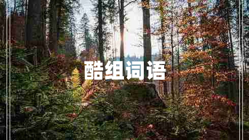 酷组词语
