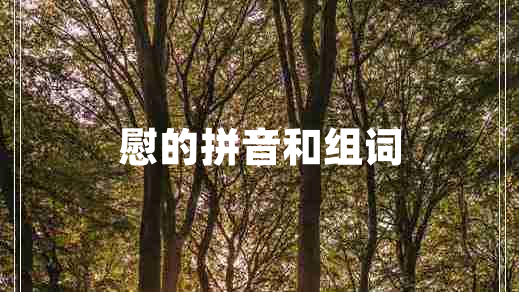 慰的拼音和组词