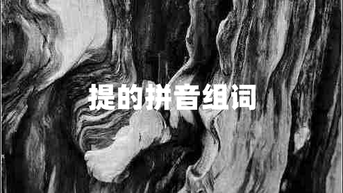 提的拼音组词