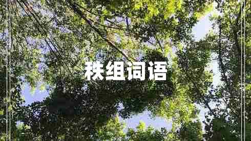 秩组词语