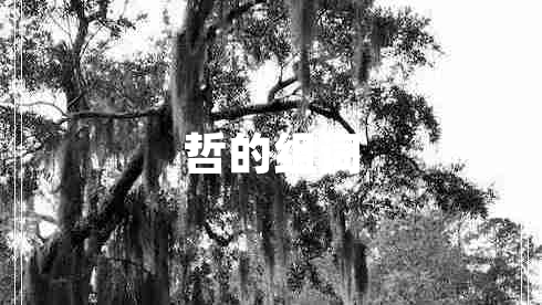 哲的组词