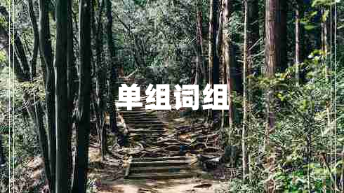 单组词组