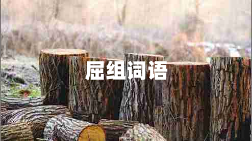 屈组词语