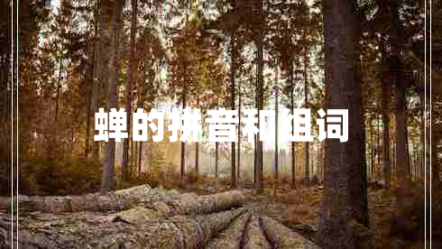 蝉的拼音和组词