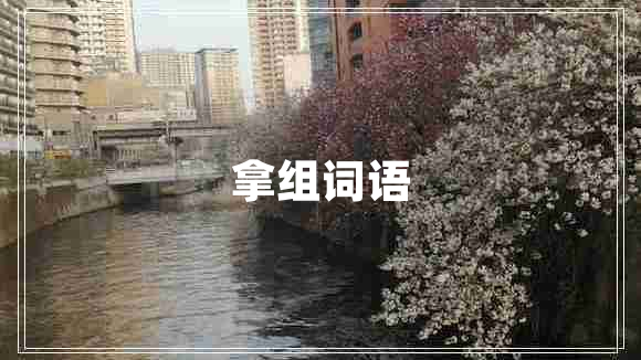 拿组词语