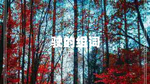 驶的组词