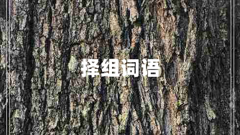 择组词语