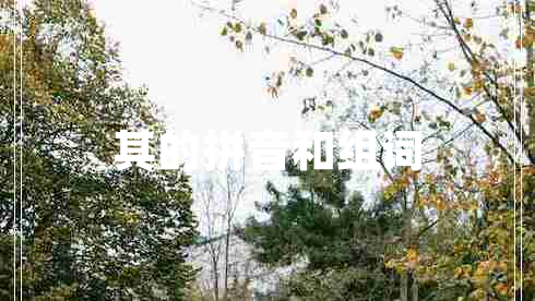 其的拼音和组词