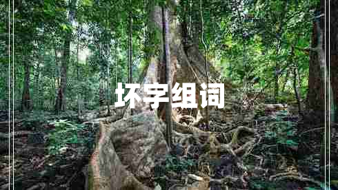 坏字组词