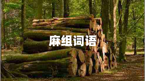 麻组词语