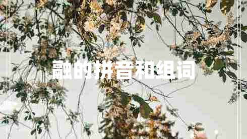 融的拼音和组词