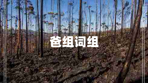 爸组词组