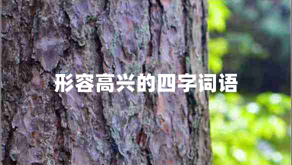 形容高兴的四字词语