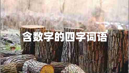 含数字的四字词语