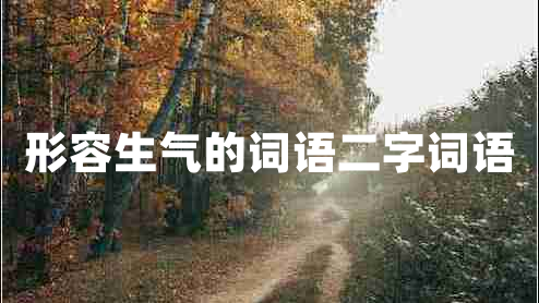 形容生气的词语二字词语
