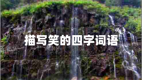 描写笑的四字词语