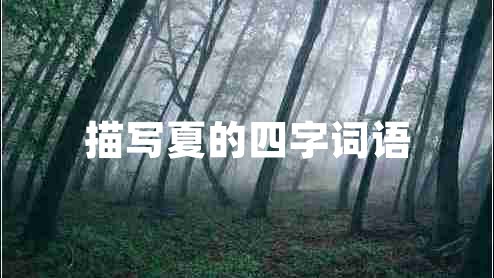 描写夏的四字词语