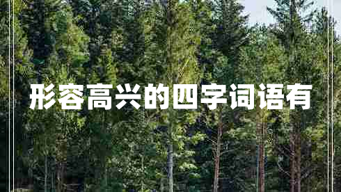 形容高兴的四字词语有