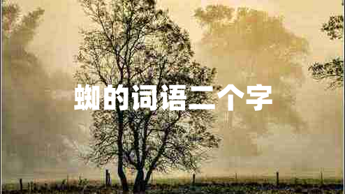 蜘的词语二个字