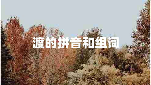 渡的拼音和组词