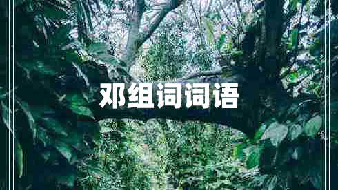 邓组词词语