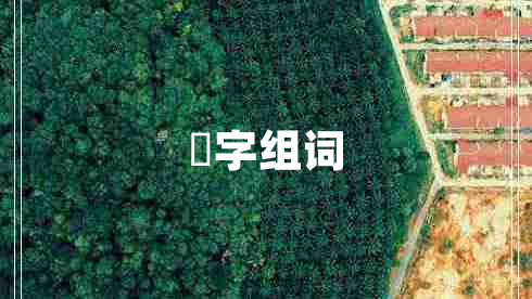 啰字组词