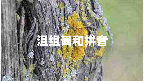 沮组词和拼音