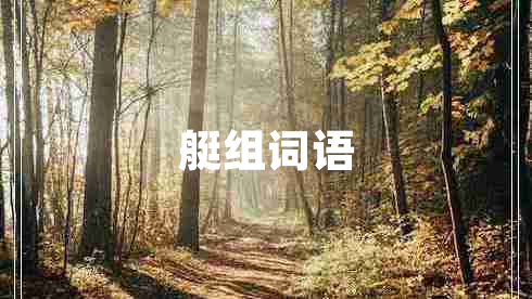 艇组词语 艇组词语