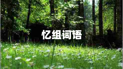 忆组词语