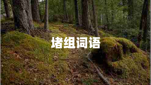 堵组词语 堵组词语