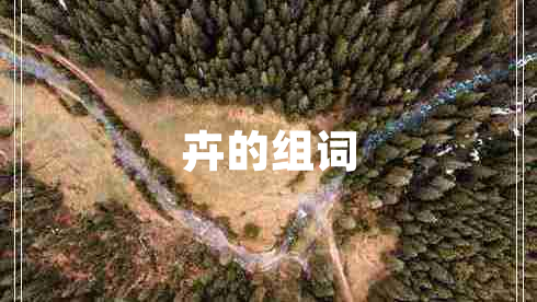 卉的组词