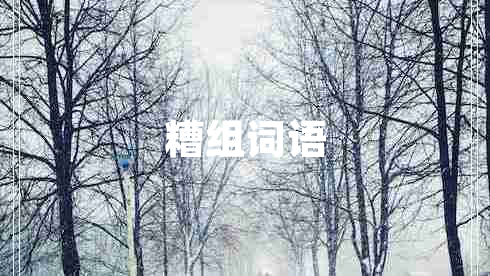 糟组词语