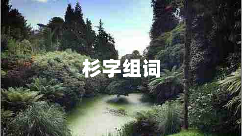 杉字组词