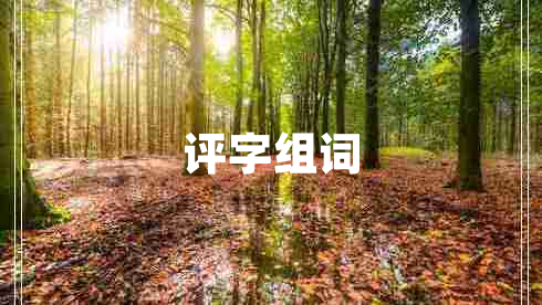 评字组词