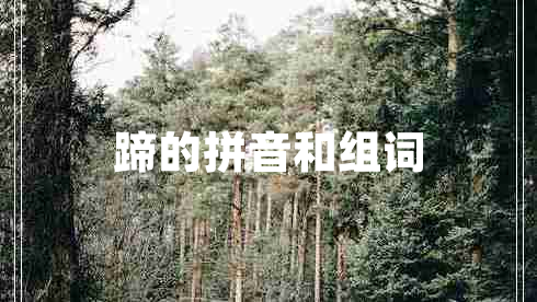 蹄的拼音和组词