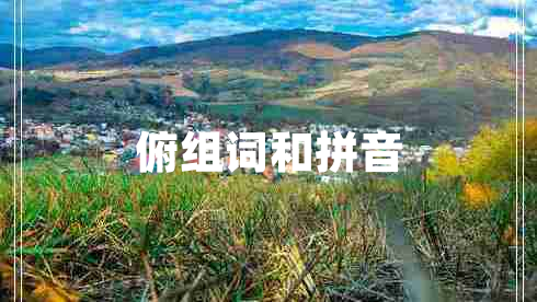 俯组词和拼音