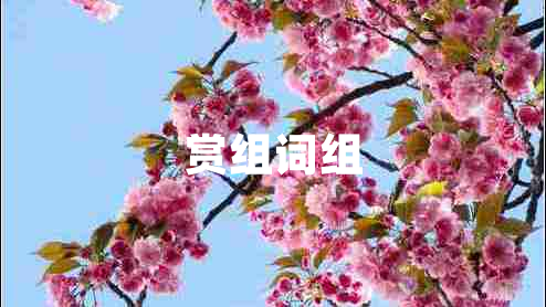 赏组词组
