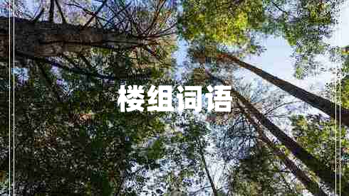 楼组词语