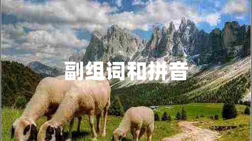 副组词和拼音