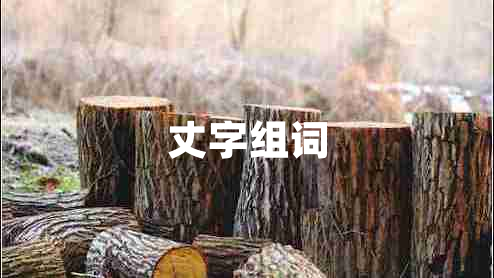 丈字组词