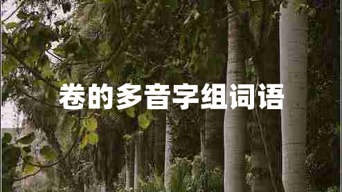 卷的多音字组词语