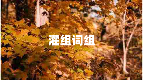 灌组词组 灌组词组