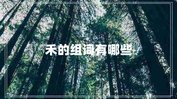禾的组词有哪些