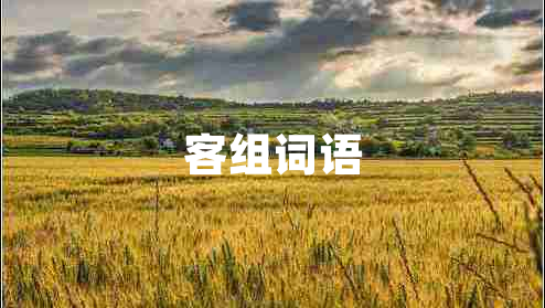 客组词语