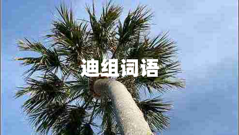 迪组词语