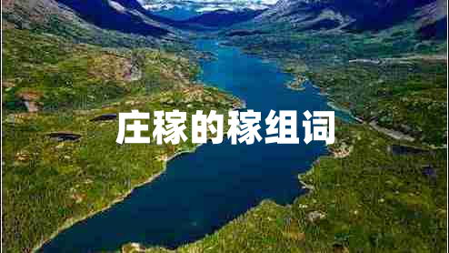庄稼的稼组词
