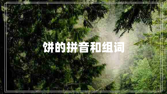 饼的拼音和组词
